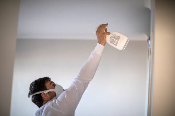 Attic Mold Removal in Georgetown, IN