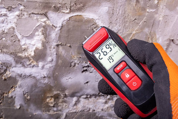 Mold Removal and Inspection in Georgetown, IN